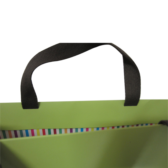 Luxury Green Color Print Shopping Paper Bag with Handle