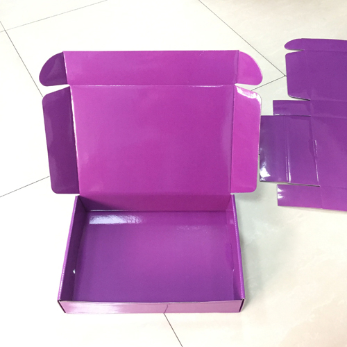 Two Sided Color Printed Corrugated Paper Shipping Box