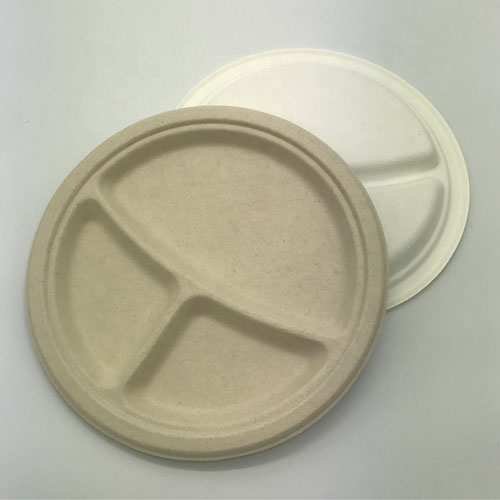 biodegradable bagasse plates