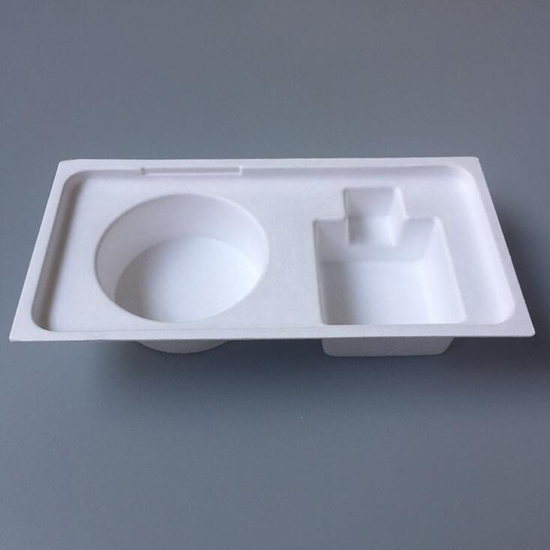 100% Biodegradable Bagasse Pulp Mould Box Package