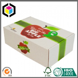 Full Color Print Single Wall E Flute Corrugated Shipping Box China