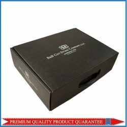 Folding Carton Box with Handle