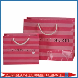 Glossy Paper Garment Bag