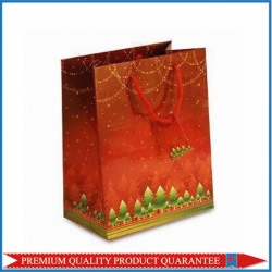 2013 Newly Christmas Paper Bag