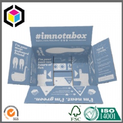 Custom Color Print Corrugated Shipping Box